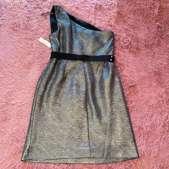 Allen B. Silver Asymmetrical Metallic Dress 💎 NWT - Picture 5 of 6